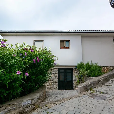 Rosemary Ohrid